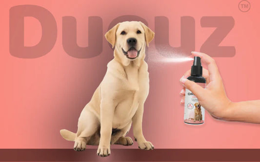 Top 5 Benefits of ORAL H Spray – The Best Dog Oral Spray for Fresh Breath