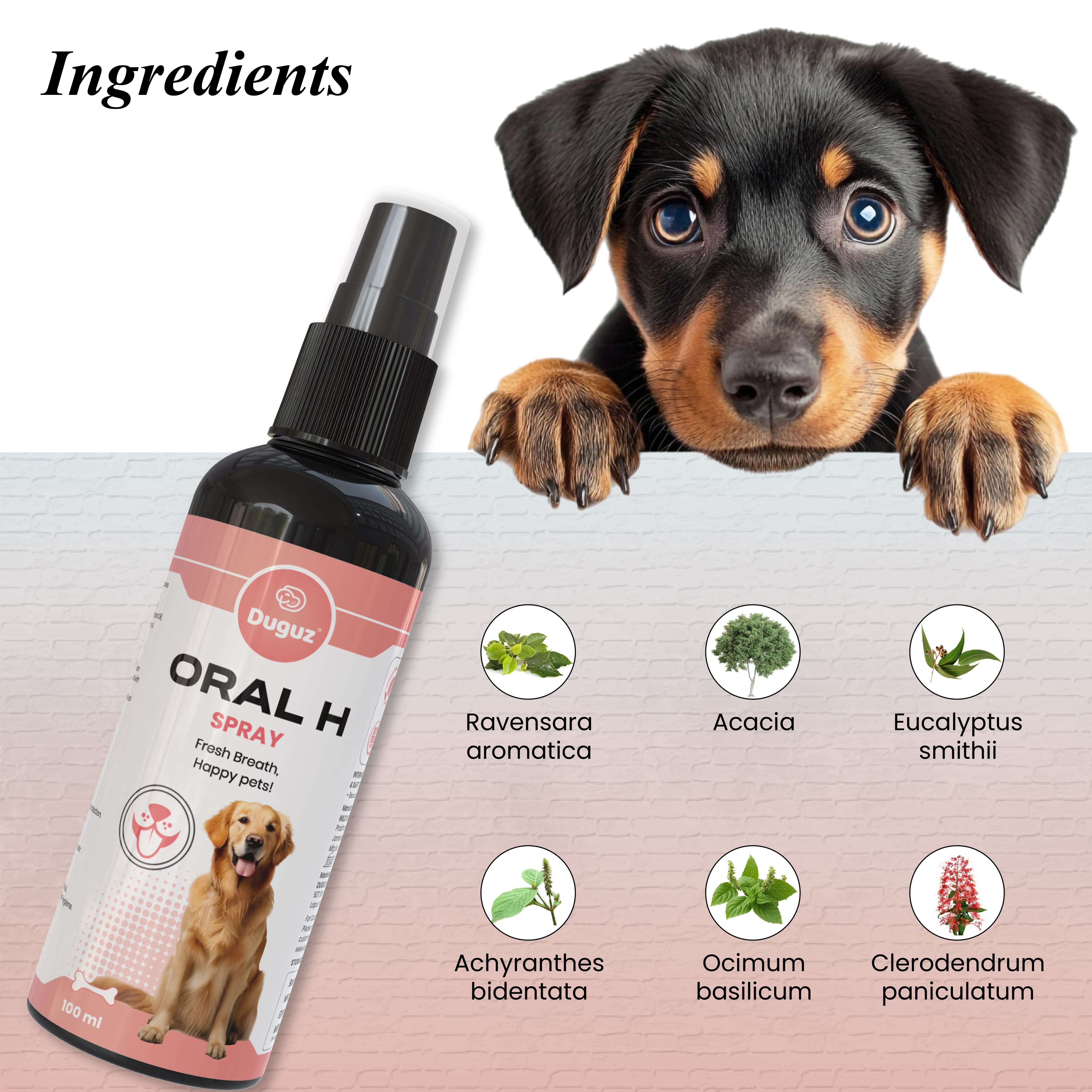 ORAL H SPRAY – 100ml