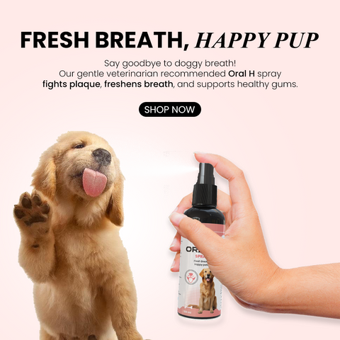 ORAL H SPRAY – 100ml