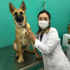Dr. Neha Sharma