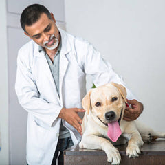 Dr. Ramesh Kapoor